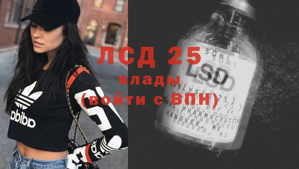 эйфоретик Алзамай