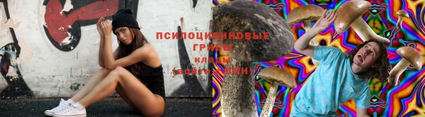 таблы Алексеевка